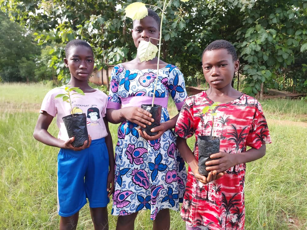 Trois enfants tiennent chacun un jeune plant d'arbre à replanter